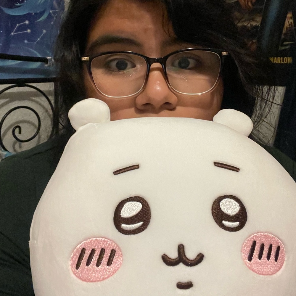 Meet your Posher, Lasagna